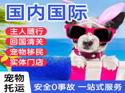 阿鲁科尔沁航空物流国际宠物托运 【国